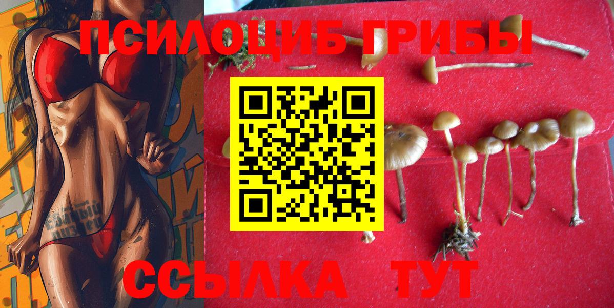 Галлюциногенные грибы ЛСД  Вход с VPN  Междуреченск 