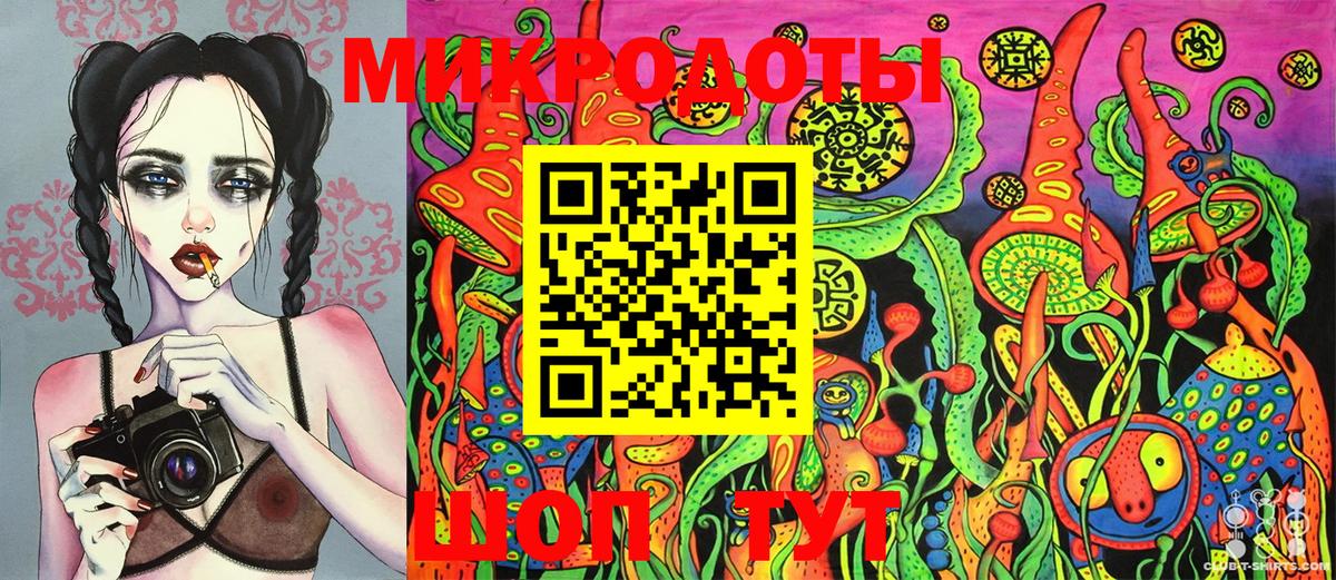 Псилоцибиновые грибы Cubensis Междуреченск